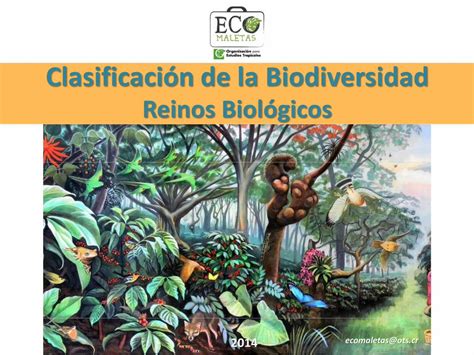 PDF Clasificación de la Biodiversidad file Reproducción asexual y