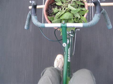 Comfrey On The Quickbeam Bike Tinker