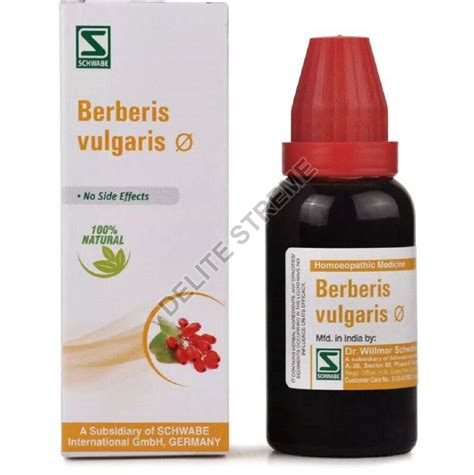 Dr Willmar Schwabe India Berberis Vulgaris Q Mother Tincture At Best Price In Delhi