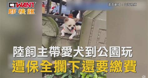 陸飼主帶愛犬到公園玩 遭保全攔下還要繳費 影音 Ctwant