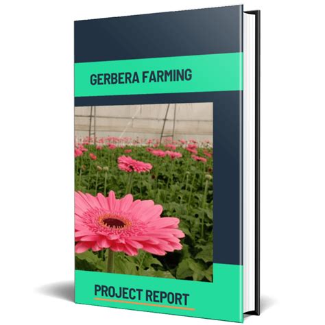 gerbera farming project report school agriculture guruji