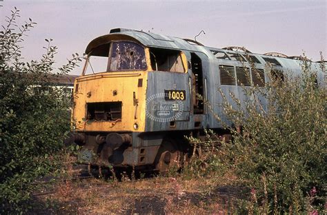 The Transport Library British Rail Diesel Loco Class 52 Western 1003 At Swindon In 1976