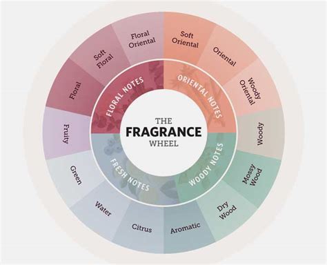 Different Types Of Fragrance Notes And How To Carry Them | HerZindagi