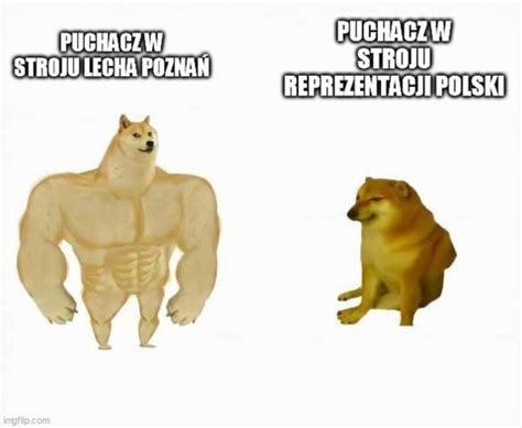 Mem Po Meczu Polski Z Rosją Galeria Zdjęć