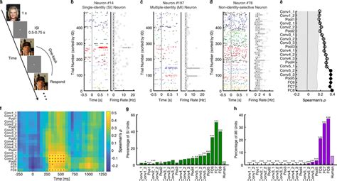 Comparison Between The Deep Neural Network DNN Units And Real Human