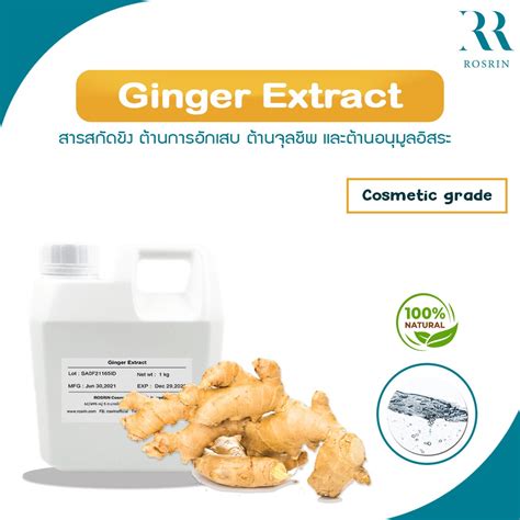 Ginger Extract