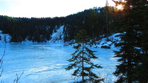 Ira Spring Trail Mason Lake — Washington Trails Association