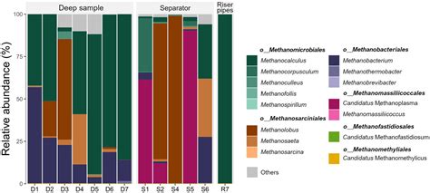 Frontiers Microbiological Insight Into Various Underground Gas