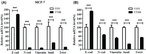 Figure S A Mrna Levels Of Emt Related Genes Inmcf Cells Treated