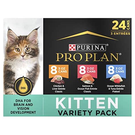 Best Wet Cat Food For Kittens 2024 - Vet Ranch - We Love Pets