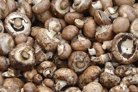11 Vegetables You Can Regrow with Kitchen Scraps | Family Handyman