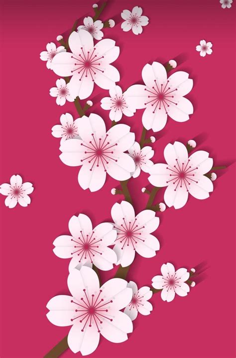 sakura wallpaper beautiful cherry blossom wallpaper
