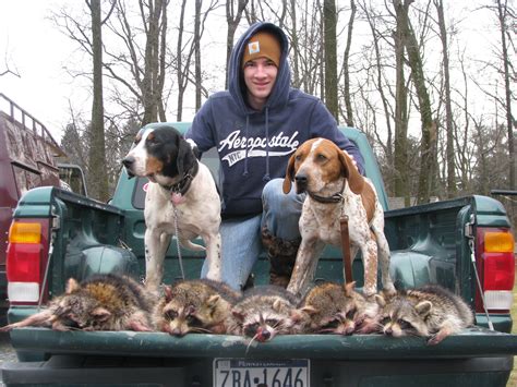 What Is The Best Thermal For Coon Hunting At Mallory Reynolds Blog