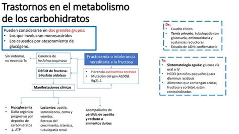 Errores Innatos Del Metabolismo PPT