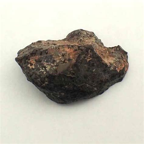 Meteorites Nwa 869