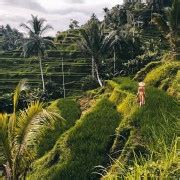 Ubud Cascades rizières temple et balançoire Visite privée