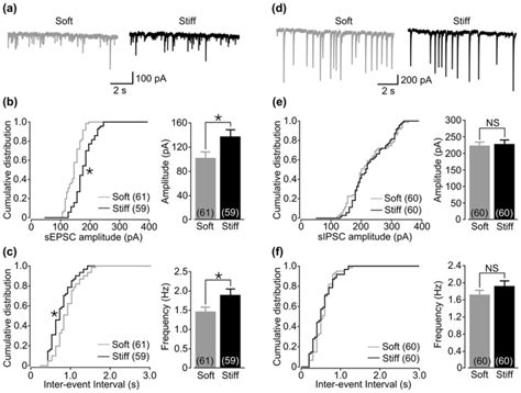 Effects Of Substrate Stiffness On Spontaneous EPSC And IPSC A