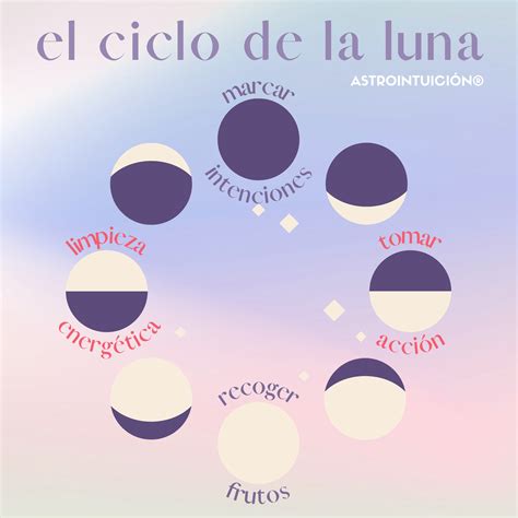 El ciclo de la luna - sus fases | Ciclo lunar, Astrología, Carta astral