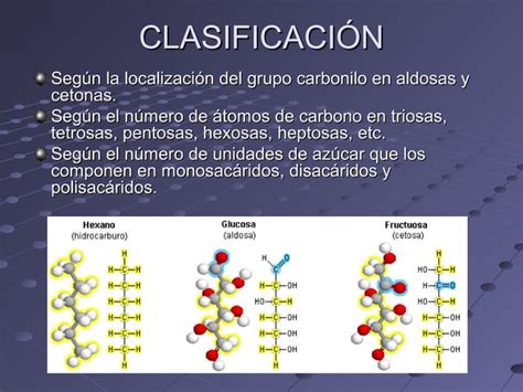 Exposicion De Carbohidratos Ppt