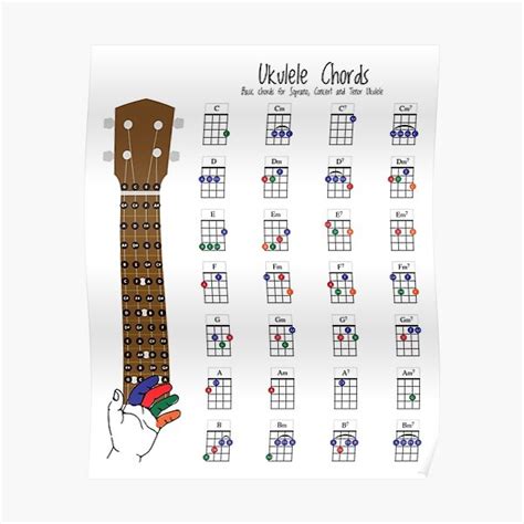 Ukulele Chords Chart Fingering Diagram For Beginners Poster For Sale