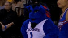 Depaul Blue Demons Dibs GIF - Depaul Blue Demons Dibs Mascot - Discover & Share GIFs