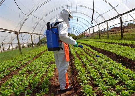 O Que Herbicida E Como Aumentar A Produtividade De Sua Fazenda