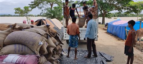 Unprecedented Flood Cripples Assam Massive Loss Of Life And Property