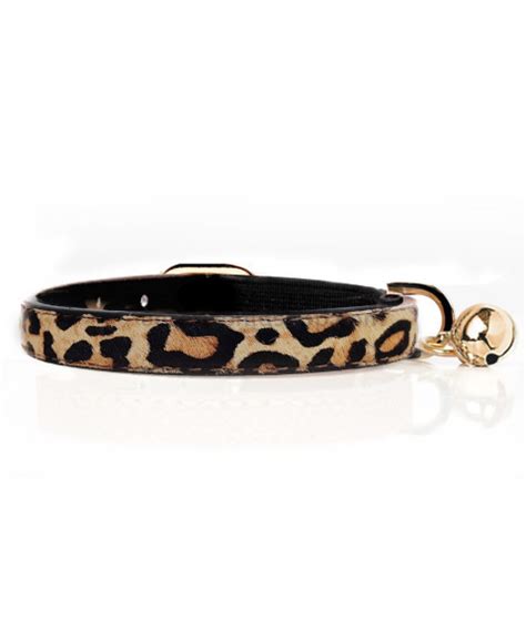 Collar Para Gato Con Cascabel Leopard Gatos Veterizonia