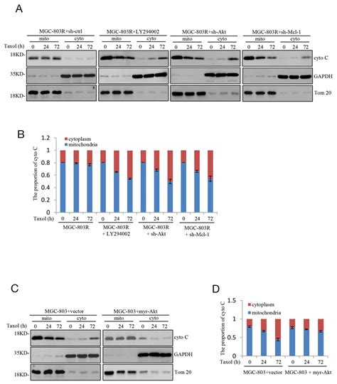 Sensitizes Gastric Cells To Taxol Induced Apoptosis Is Associated With