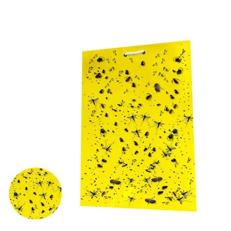 LIGHTSMAX Dual-Sided Yellow Sticky Gnat Traps Indoor/Outdoor Insect Fungus Gnats, Whiteflies ...