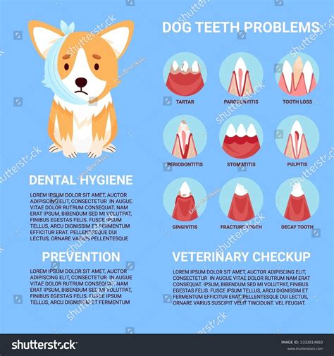 222 Pain Management Pets Images, Stock Photos & Vectors | Shutterstock