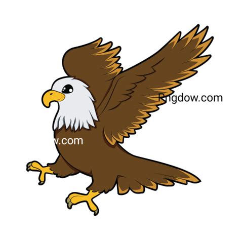 Eagle Png image with transparent background for free, Eagle, (32 ...