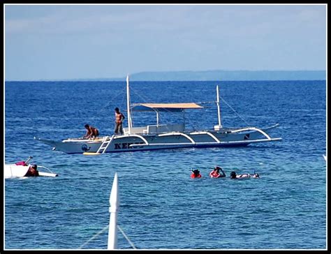 Travel ^ Adventure ^ Photography: Snorkeling at BALICASAG ISLAND, Bohol