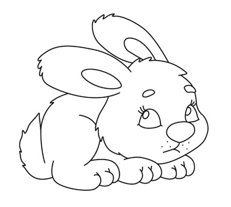 Раскраска Заяц Распечатать бесплатно