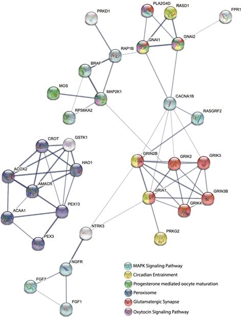 Protein Protein Interaction Network Of Degs Color Of The Nodes