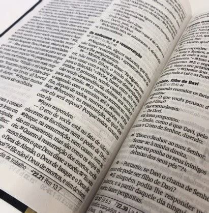 Bíblia Jesuscopy NAA Este Livro é Sobre Jesus Letra Grande