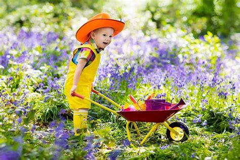 How To Design A Childs Garden Gardeners Path