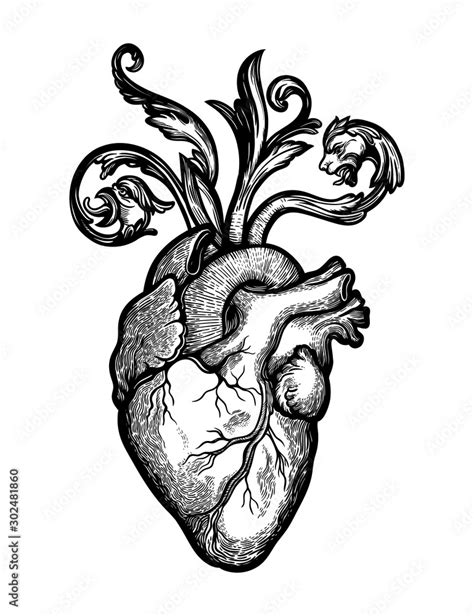 Gothic Heart Drawings