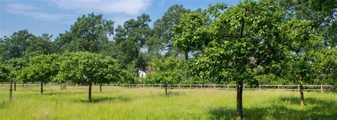 Landwirtschaft Westfarm - Von Landwirt zu Landwirt | Haus Hall