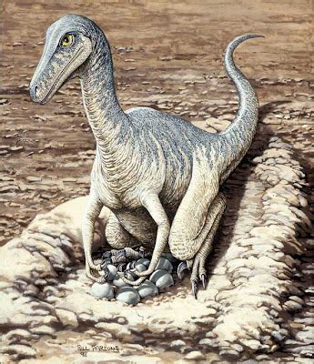 Dinossauro Macho Era Papai Carinhoso Afirma Pesquisa Americana Dinos