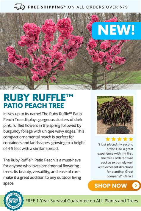 🤩 New Meet The Ruby Ruffle™ Patio Peach Stark Bros