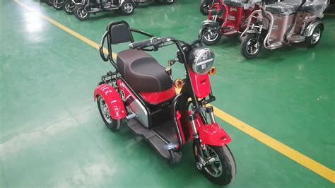 Electric Trike Motorcycle For Adult Electric Motorcycle Trike Electric Scooter With 48v 12ah ...