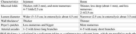 1 Comparison between jejunum and ileum characteristics | Download Table