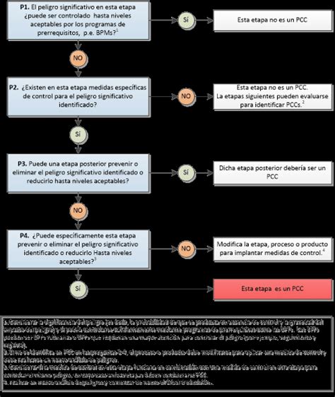 Nuevo árbol de decisiones del codex