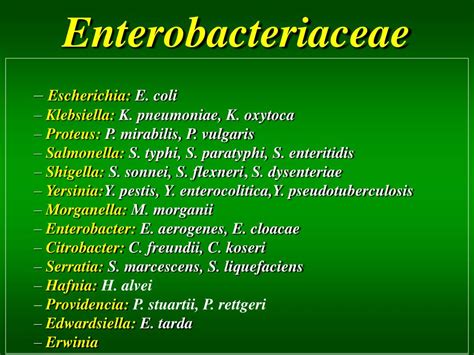 Ppt Enterobacteriaceae Vibrio Campylobacter Helicobacter