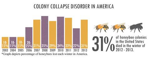 Increasing Your Gardens Bee Population