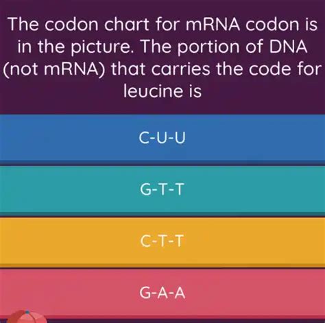 the codon chart for mrna codon is in the picture. the portion of dna ...