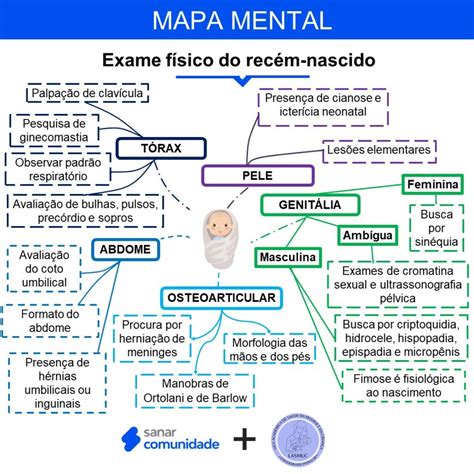 Mapa Mental Exame Fisico Cabeça E Pescoço Sale Online innoem eng psu