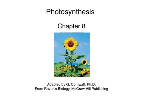 Ppt Photosynthesis Powerpoint Presentation Free Download Id2046784