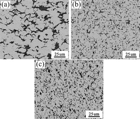 SEM Micrographs Of The Microstructure Of The Hot Pressed And